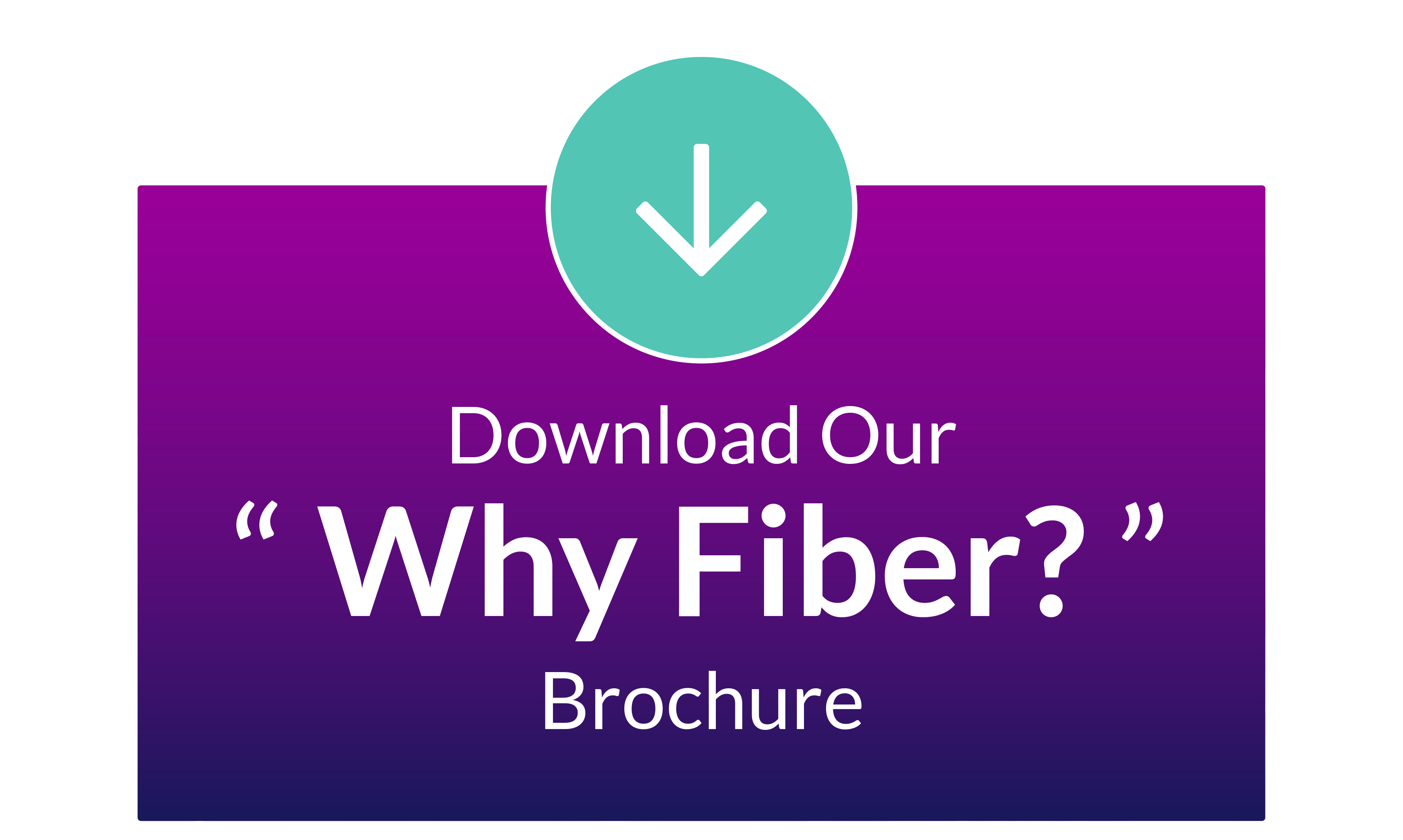 inline-why-fiber_idea-2_3_2x